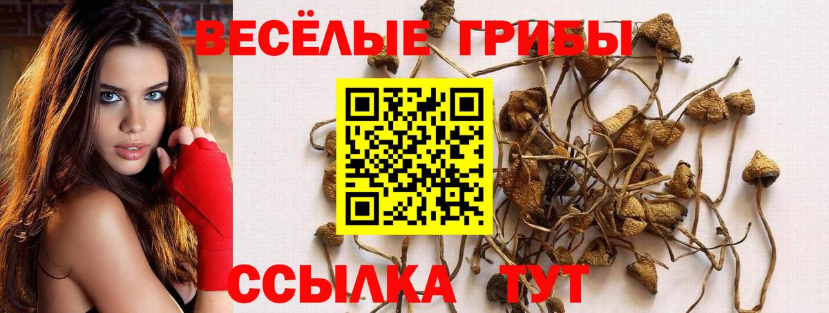 Галлюциногенные грибы MAGIC MUSHROOMS Нерюнгри