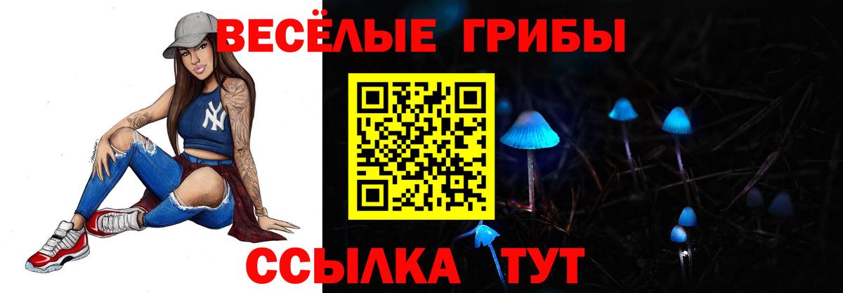 Нерюнгри  Галлюциногенные грибы Magic Shrooms  Вход с VPN 
